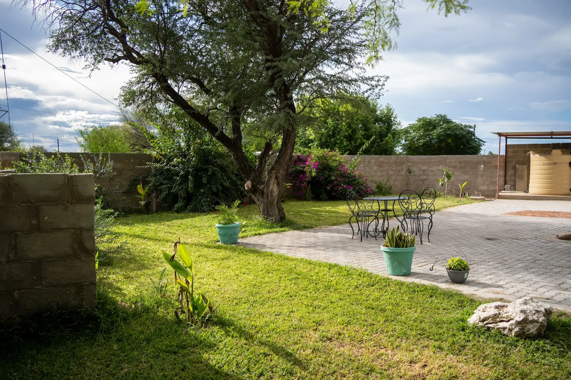 A second view of the garden